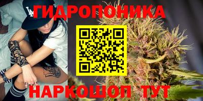 хмурый Новозыбков