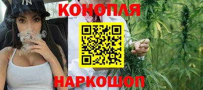 хмурый Новозыбков