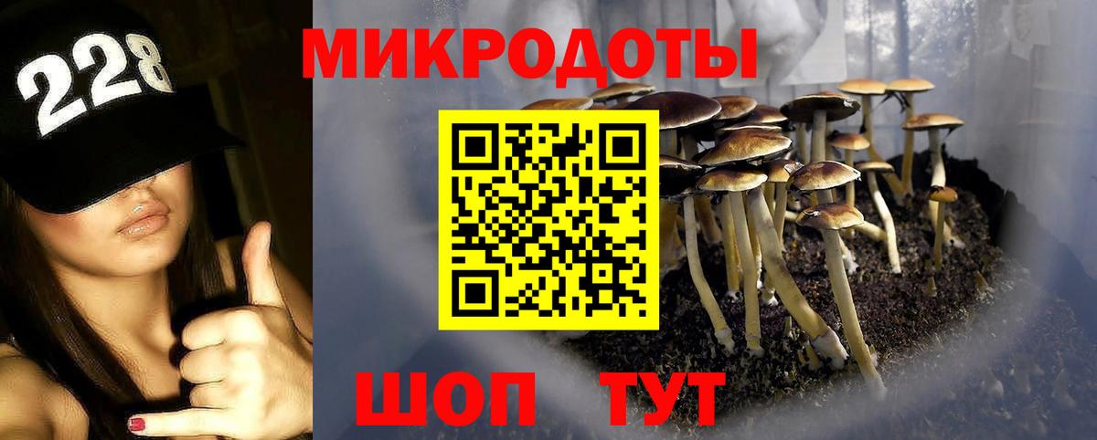 Псилоцибиновые грибы Magic Shrooms  Вход с VPN  Родники 
